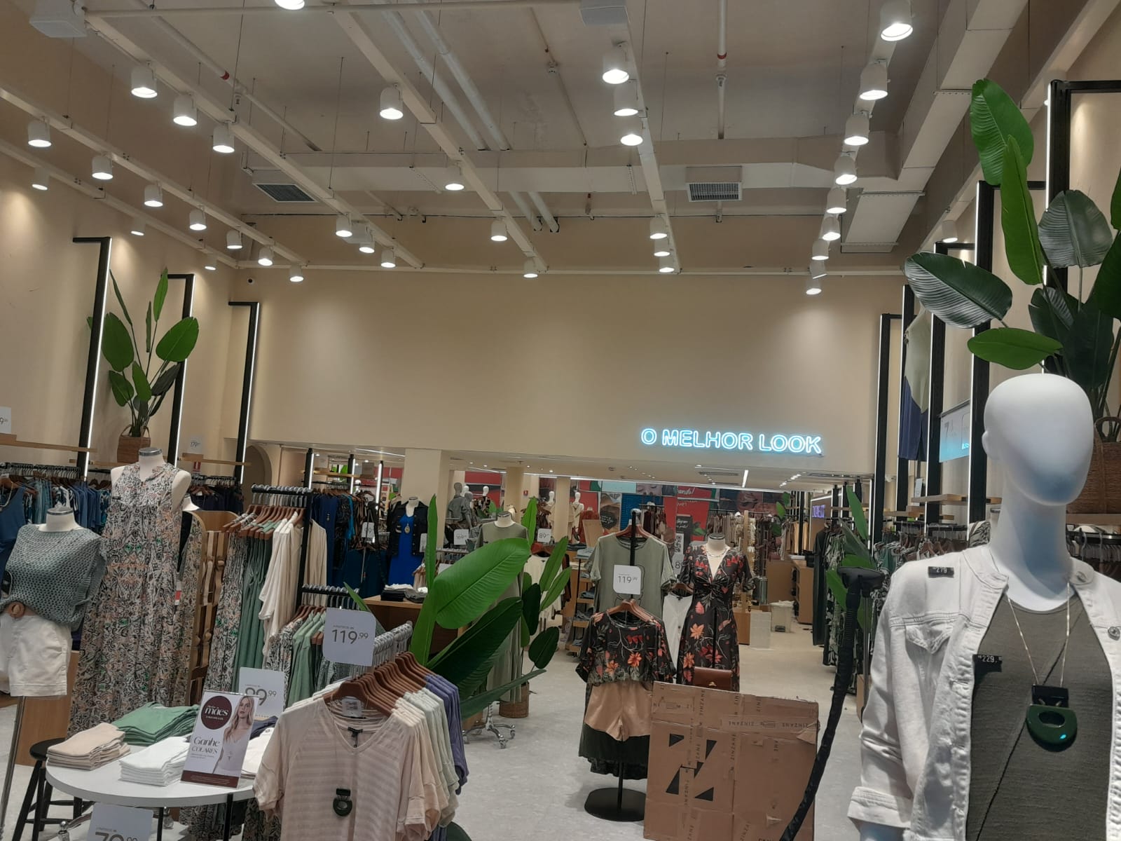 Imagem do WhatsApp de 2024-07-30 à(s) 10.57.18_62c09fd7.jpg